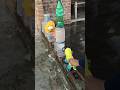 Tauba Tauba #jump #toys #short#shorts #ytshorts #viral #taubatauba #shortfeed #trending #viralshorts