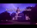 🔴 LIVE: SC Senate redistrcting debate