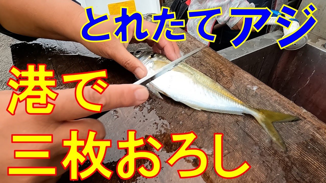 東京湾アジ釣り とれたてを港で三枚におろしました Youtube