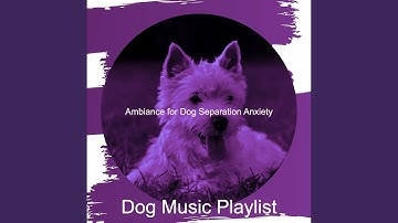 Pulsating Backdrops for Training Dogs