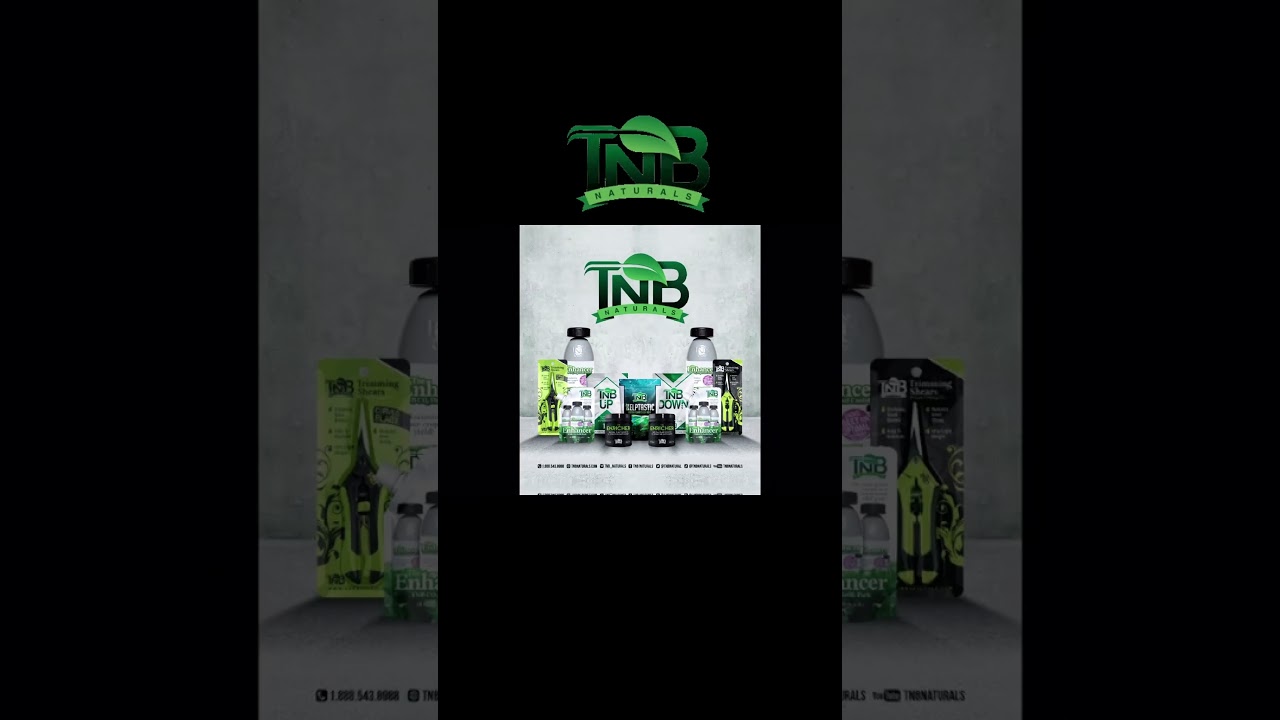 Showdow.strain - All my CO2 is thanks to @tnbnaturals 