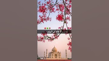 سورة الرحمن