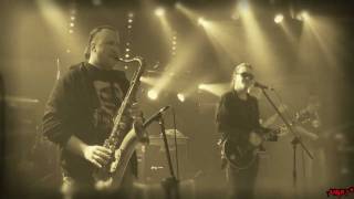 DAAB - W Moim Ogrodzie. Live (2011)