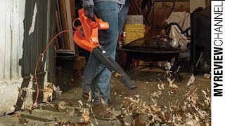 Lawn Vacuums: Best Lawn Vacuums and Leaf Blowers in 2020 (compare prices on Amazon and Home Depot)