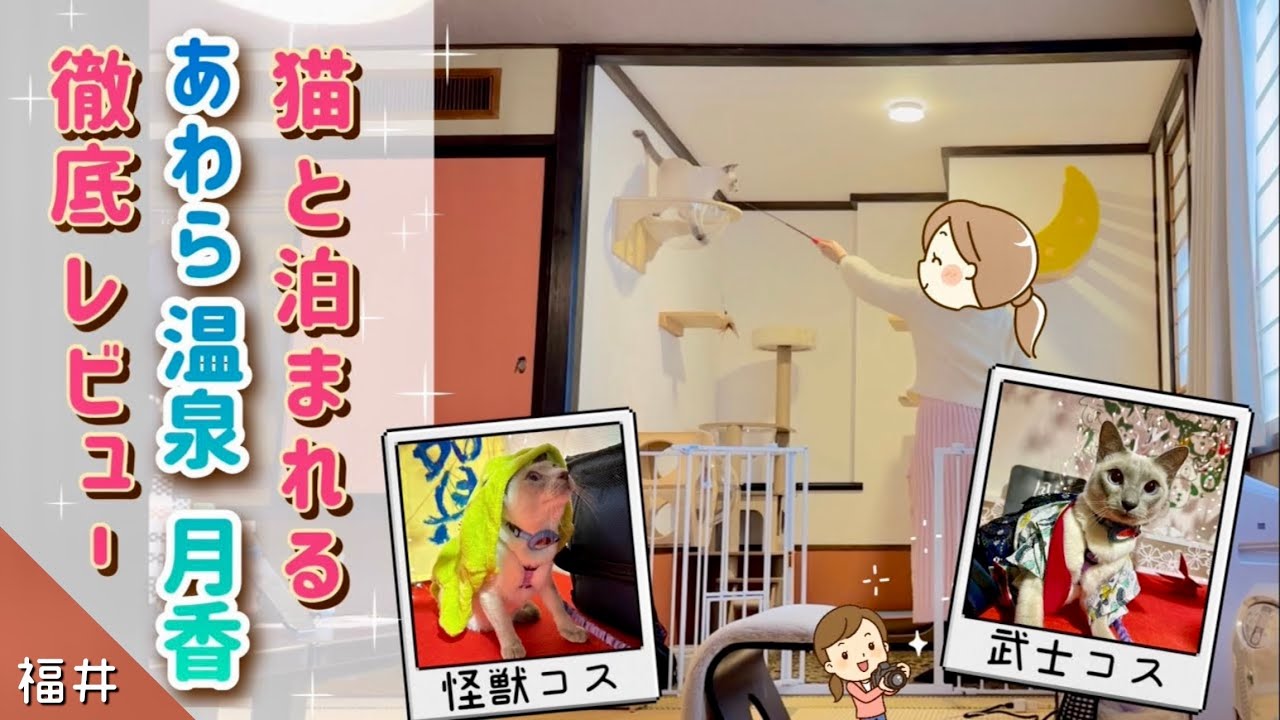 【猫と泊まれる】あわら温泉 月香 徹底レビュー