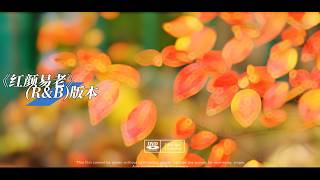 284红颜易老完整版