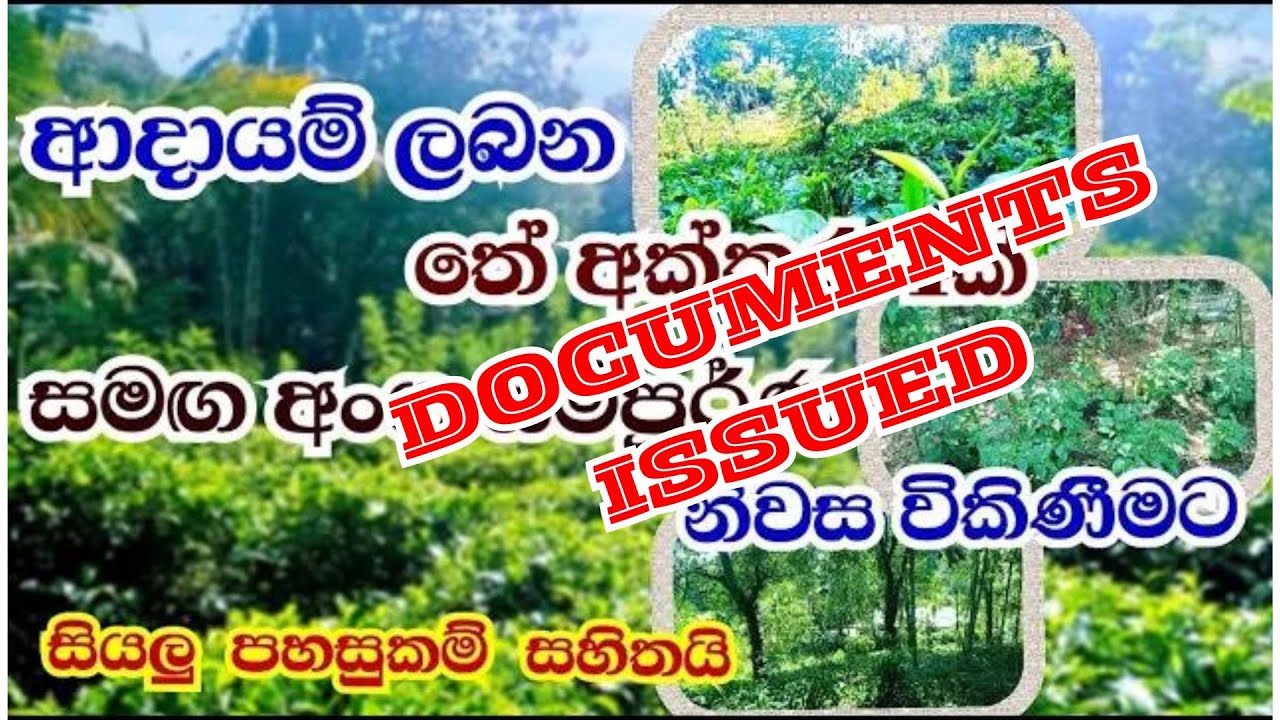 4 Acres Tea Land for sale in Ruwanwella / with a bungalow /Immediately sales for high demand