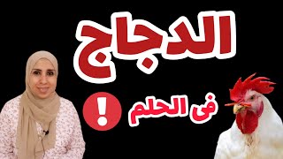 تفسير حلم الدجاج والفراخ و الكتاكيت فى الحلم و تفسير احلام كتير حقيقيه بالتفصيل screenshot 3