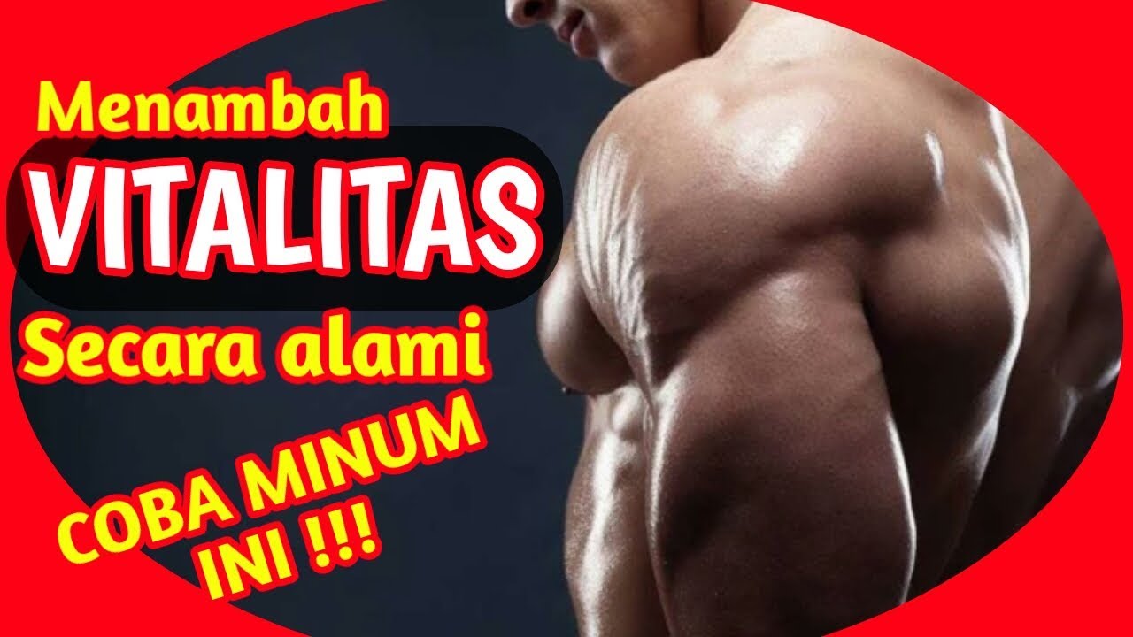 CARA MENAMBAH VITALITAS PRIA SECARA ALAMI | MENINGKATKAN VITALITAS