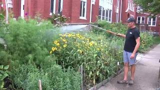 Macomb's "Giving Gardens" Cultivate Fresh Food and Strong Communities