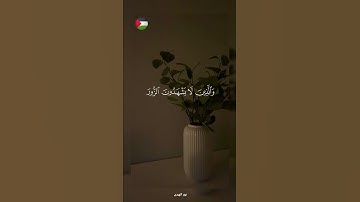 ✨️ياتيك بها الله و لو كانت مستحيلة🇵🇸🍉#قرآن #اكسبلور #تلاوة_خاشعة #islamic #المصحف #فلسطين #غزة #fypシ