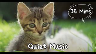 Calming Animal Music for Toddlers | 35 Minutes Relaxing Background Music screenshot 1