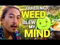 🚫🌿 I Quit Smoking Weed and the Results BLEW MY MIND 🤯💸💕