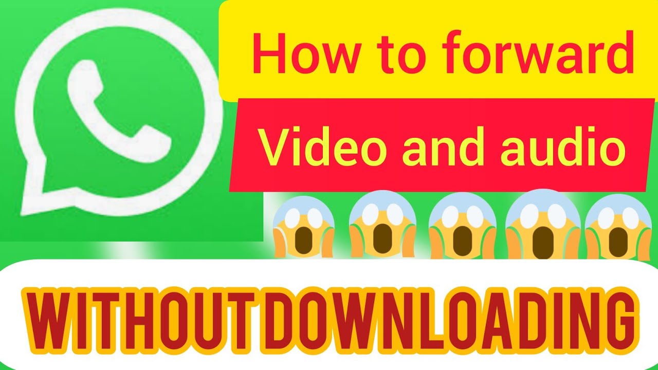 How To Forward Video And Audio In WhatsApp Without Downloading YouTube how-to-forward-video-and-audio-in-whatsapp-without-downloading-youtube