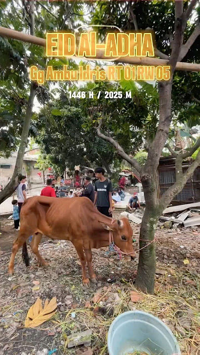 Selamat Hari Raya Idul Adha 1446 H #bandung #iduladha1446h #iduladha2025 #shortvideo #short