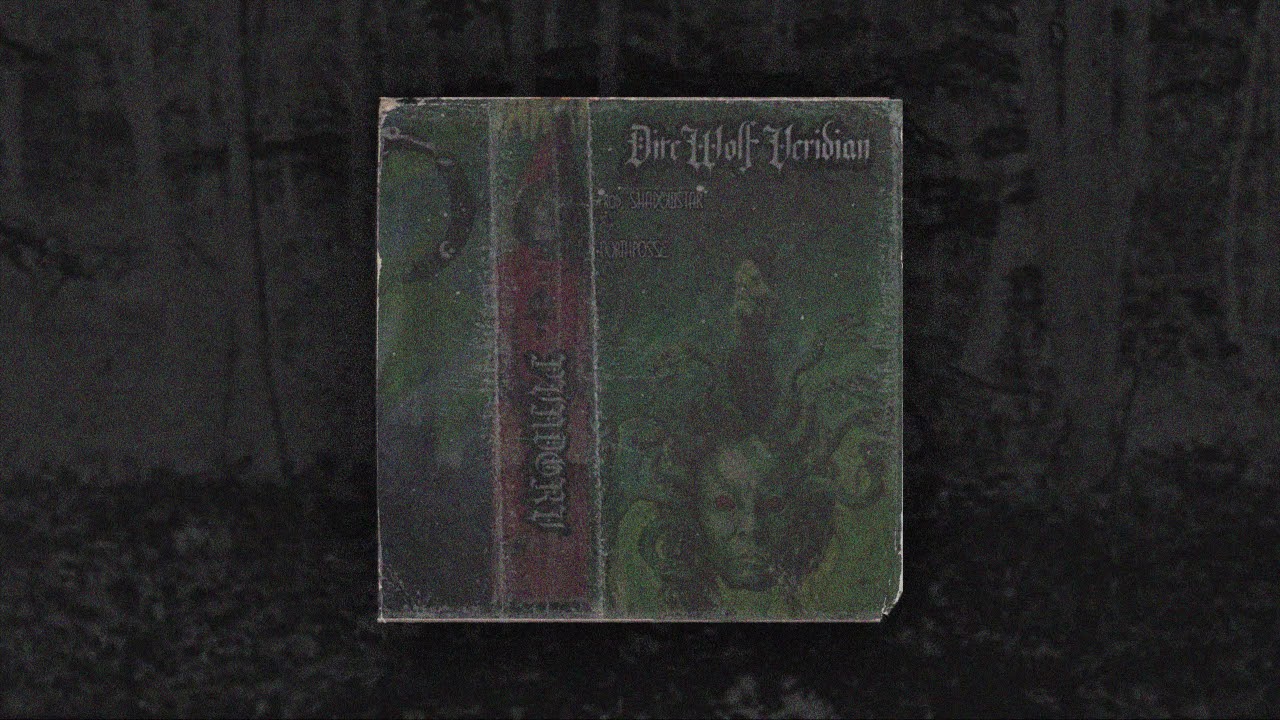 Pvndorv - DireWolf Veridian (prod. SHADOWSTAR & NORTHPOSSE) 1999