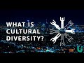 What is cultural diversity  language insight