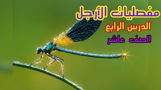 المفصليات ( الاخراج - الحركة - الاستجابة ) - الدرس الرابع - عاشر