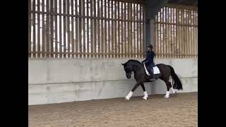 Ad ref 270497   Video 1