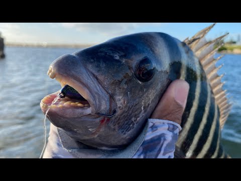 FISHGUM VS FISHBITES! Which One Catches More Fish? Surf Fishing