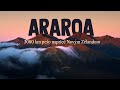 Araroa - 3000 km pešo naprieč Novým Zélandom