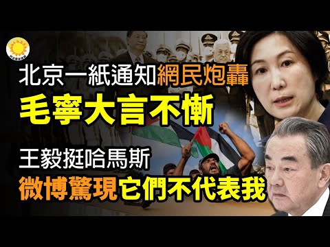 🔥北京一纸通知网民炮轰 毛宁大言不惭；王毅挺哈马斯 微博惊现：“它们不代表我”；最新！拜登访以 美派2千美军支援以色列；华日：以哈冲突使美国分心 中俄坐收渔利；加沙地道复杂 专家四招破解 阿波罗网CW