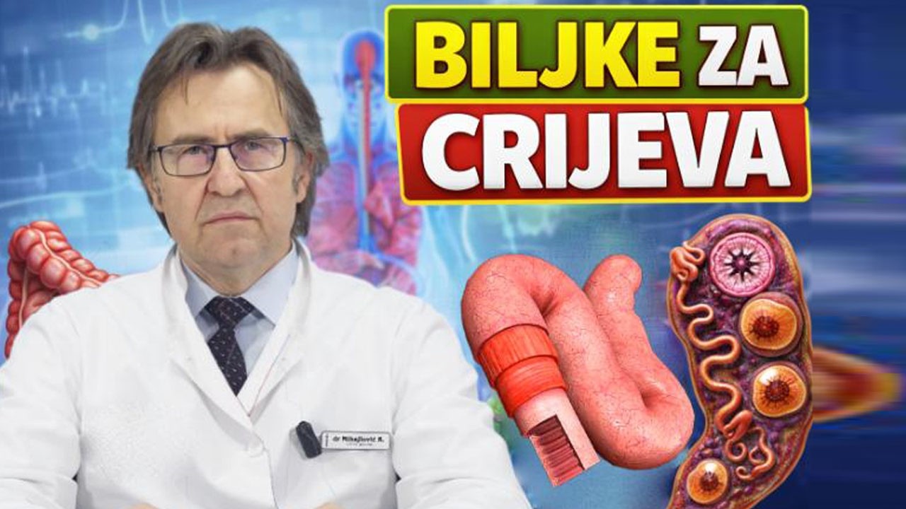 SAVRŠENA PROBAVA U 7 KORAKA - RIJEŠI NADUTOST I ZATVOR ZAUVIJEK! Dr Mihajlović