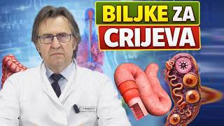 SAVRŠENA PROBAVA U 7 KORAKA - RIJEŠI NADUTOST I ZATVOR ZAUVIJEK! Dr Mihajlović