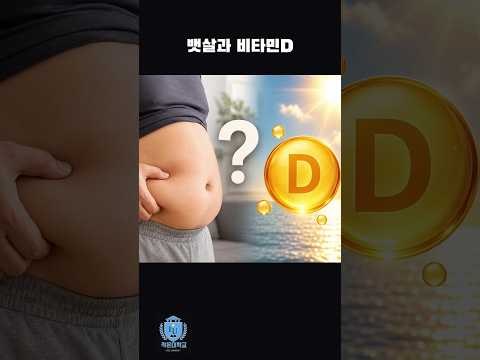 뱃살과 비타민D