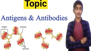 why antigens is necessary in treatment process - difference between antigens & antibody