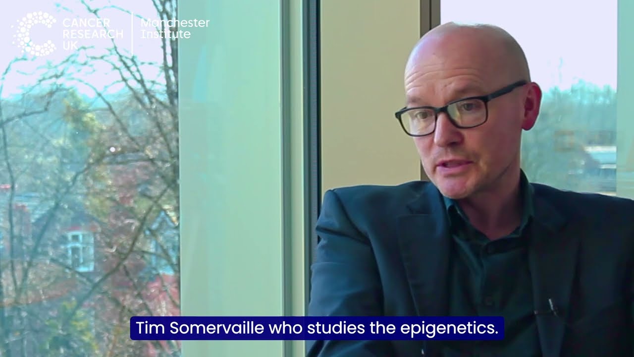 Junior Group Leader Recruitment - Investigating the Tumour Microenvironment