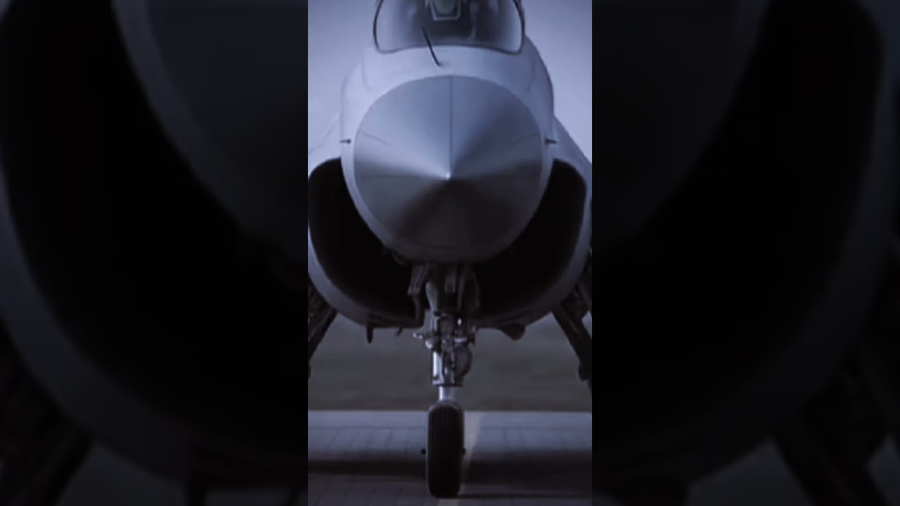 𝙋𝘼𝙁 𝘼𝙐𝙍𝘼 