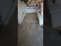 Satisfying Carpet Cleaning