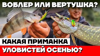 видео: ОКУНЬ и ЩУКА на каждом забросе - ВОДА КИПИТ от РЫБЫ! Вобллер или Вертушка? Ловля хищника на спиннинг картинка: ОКУНЬ и ЩУКА на каждом забросе - ВОДА КИПИТ от РЫБЫ! Вобллер или Вертушка? Ловля хищника на спиннинг
