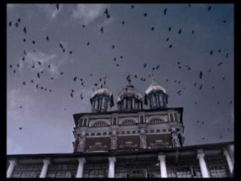 Пикник - Мы как трепетные птицы (на польском)