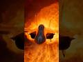 Fighter Jet Rises From the Rubble It Just Destroyed! 🔥 #youtubeshorts