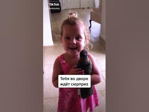 Папа пришел с армии... - YouTube