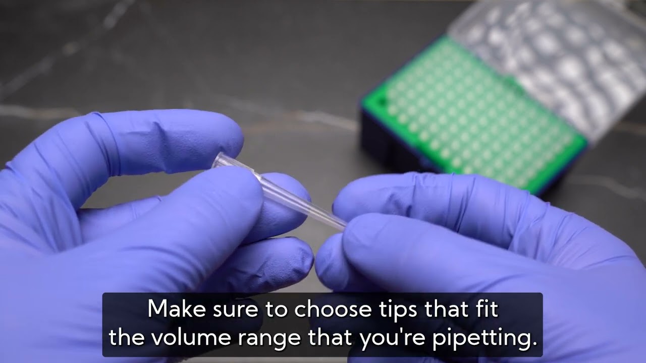 Universal Pipette Tips - Filtrous