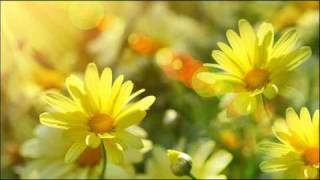 The Sound From Above - 010 (Progressive/House)