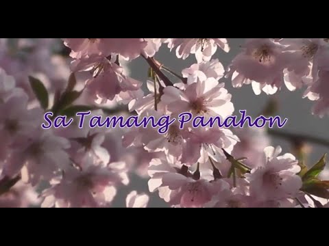 SA TAMANG PANAHON | Cover By: Jackielyn Roy | Lyrics Video - YouTube