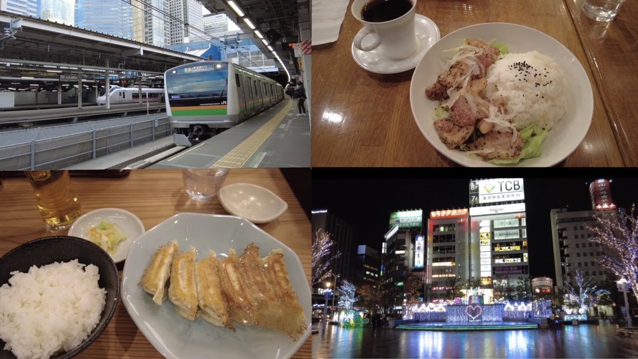 Cheap Local Train × Authentic Food Trip from Tokyo to Sendai
