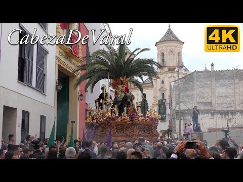 Real Cofradía de Nuestro Padre Jesús a su Entrada en Jerusalén y María Santísima del Amparo