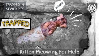 Rescue a Tiny Kitten from Sewer Line & Crying for Help | Badly Trapped
