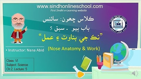Sense Organs (Nose)| Science Class 6| Chapter 2| Lecture 5| by Nana Abid| Sindh Online School