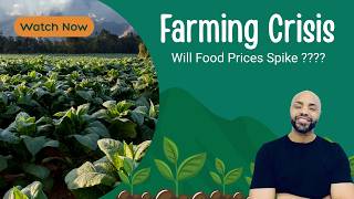U.S. Farming Crisis: Are Food Prices About to Spike The 2026 Agriculture Warning