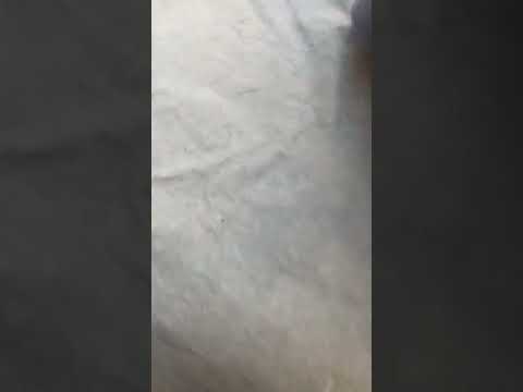 الغطاء الوتر بروف انواعه و خاماته و مميزاته و عيوبه