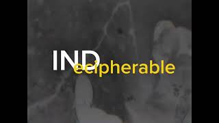 Yoldixx - INDecipherable