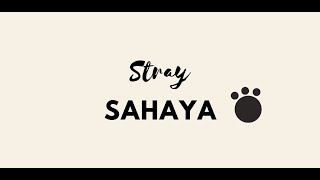 Animal Help App(StraySahaya) - Hack-R-Play 2.0 Demo screenshot 2