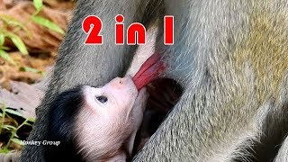 Unbelievable New Baby Janna Get Twin Milk, Janna Get Two In One Moms Milk