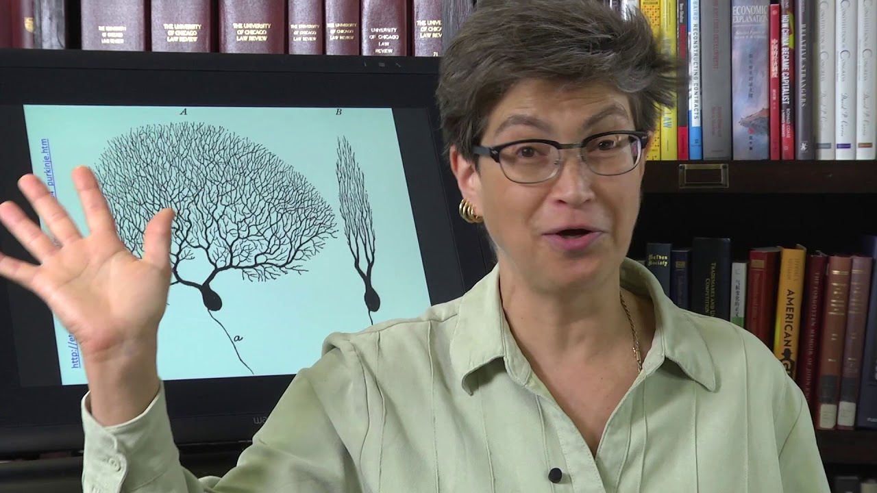 19.3 Cerebellar Information Flow